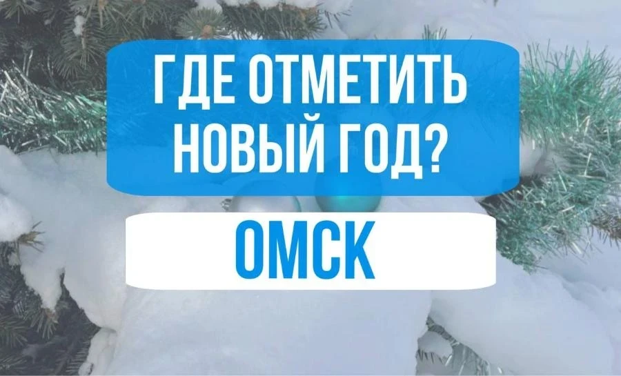 Здравствуй, опа – Новый год! Отдых в Омской области зимой