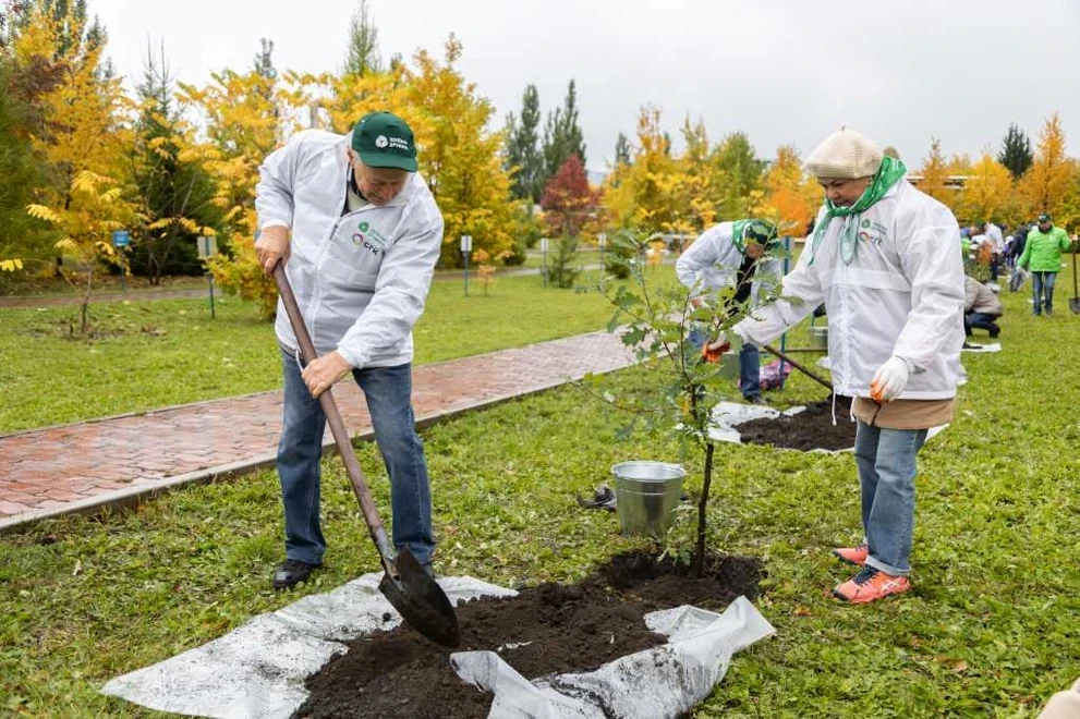 В Зеленогорске ветераны-энергетики высадили деревья на территории Красноярской ГРЭС-2 3-o12newqpMQs.jpg