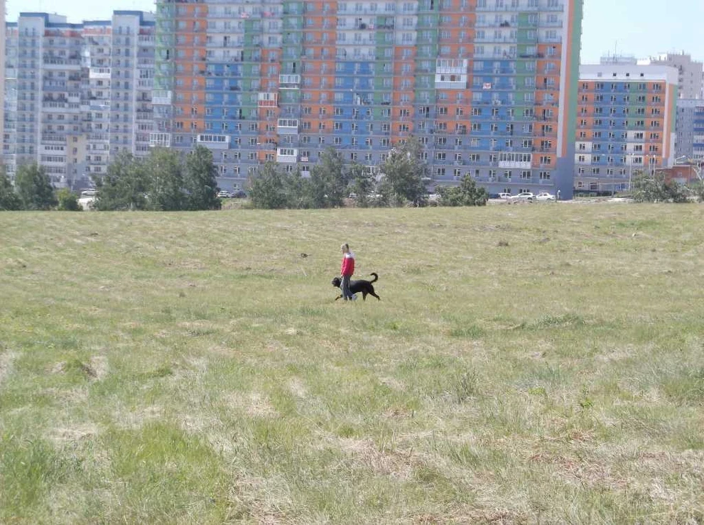 ...и свои равнинные просторы. DSCF5843.JPG
