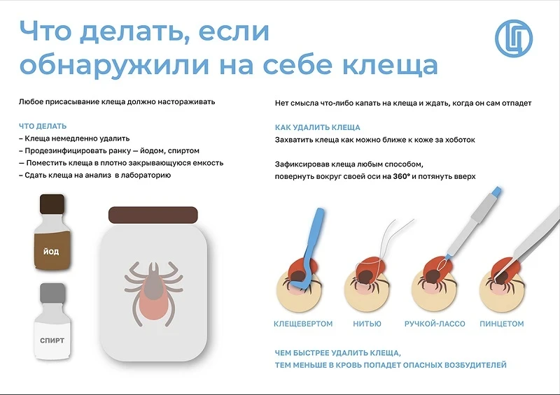 Klesh_Obn_s.jpg Klesh_Obn_s.jpg