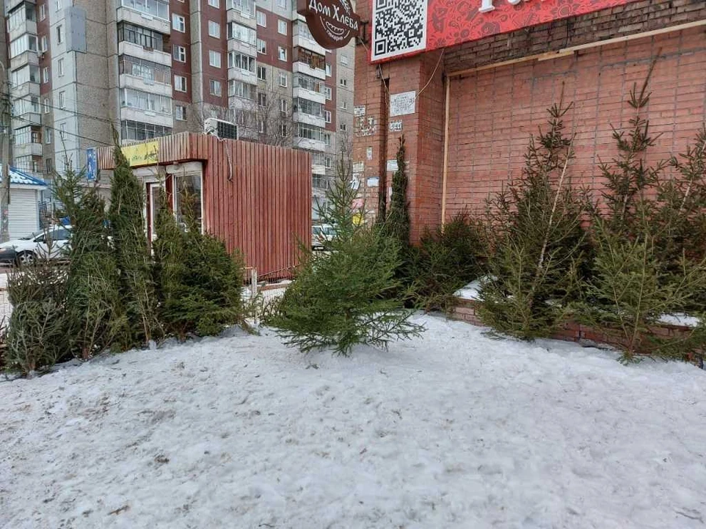 9 мая46.jpg 9 мая46.jpg