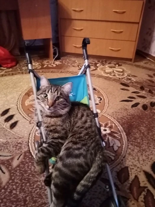 кузя.jpg кузя.jpg