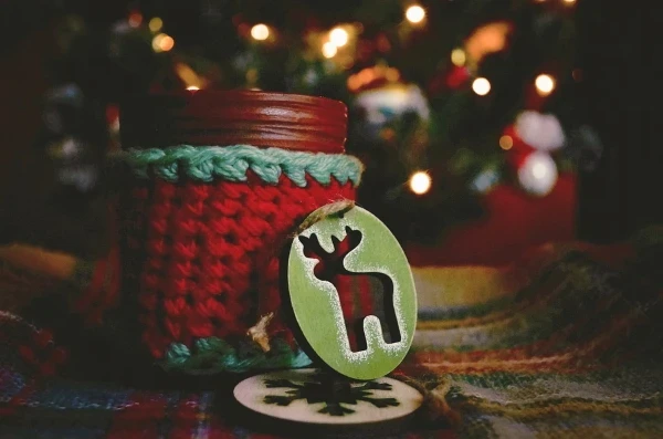 christmas-3879196_960_720.jpg