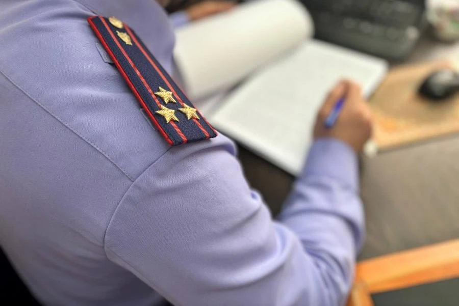 Иркутянина, напавшего на полицейских, на 2,5 года отправили в колонию