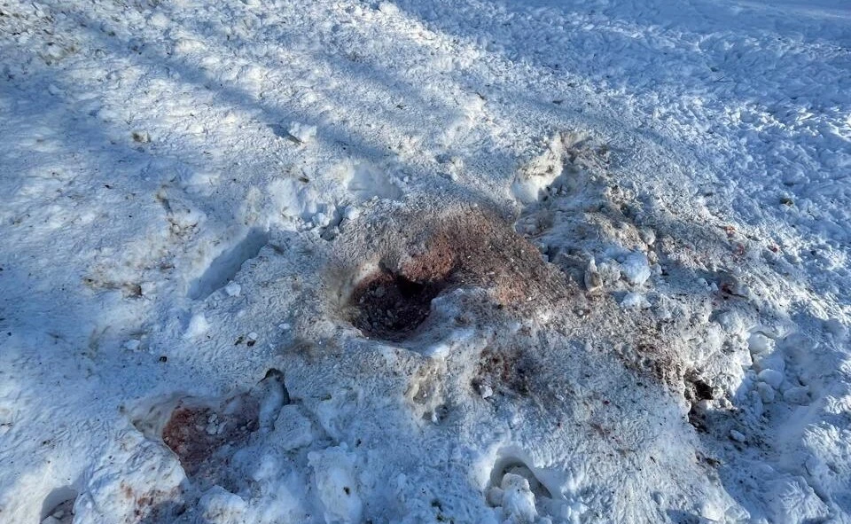Погибшие в Кузбассе косули не отравились химическими реагентами  