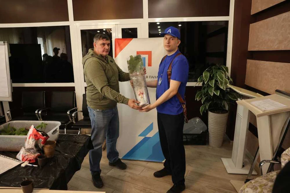 Участники «Абилимпикса» Красноярского края запустили акцию по высадке дубов 