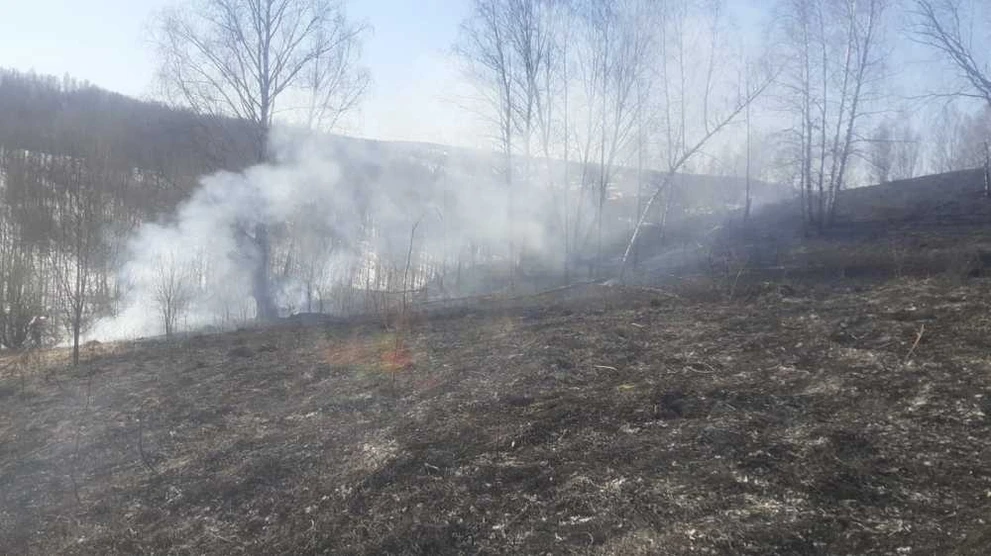 В Красноярском крае действует 1 лесной пожар на площади 3 гектара 