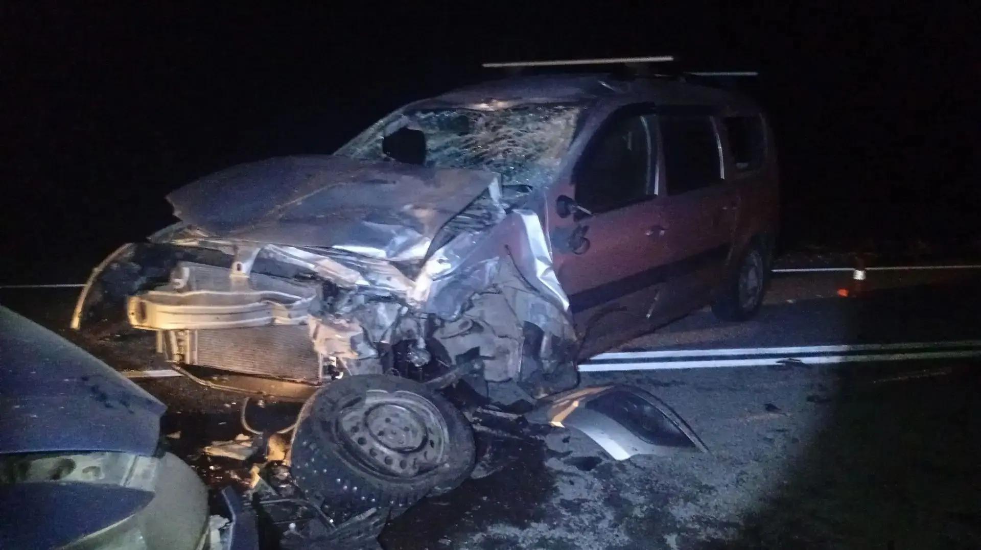 В ДТП с конём на Алтае чудом уцелела семья с годовалым ребёнком