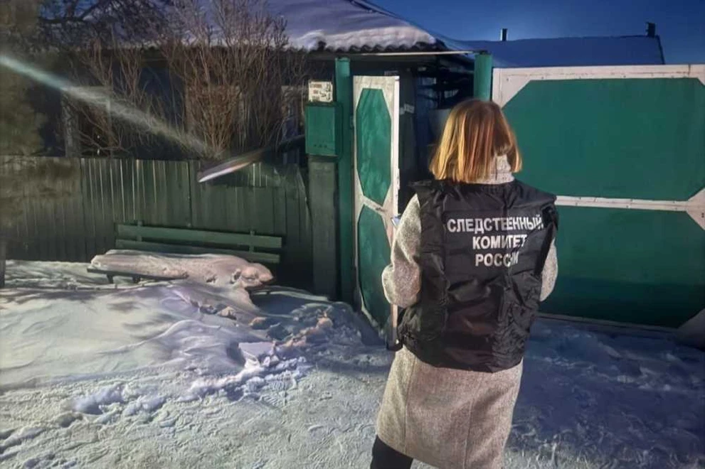 В Новосибирской области женщину обвинили в смерти своих детей в пожаре