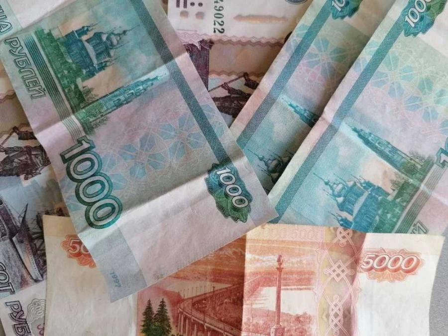 Большая семья. Более  900 млн рублей перечислено родителям Красноярского края по ежегодной семейной выплате