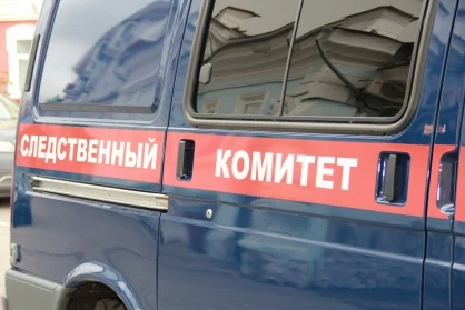 Глава СК России взял под контроль необычную ситуацию с сиротой из Хакасии