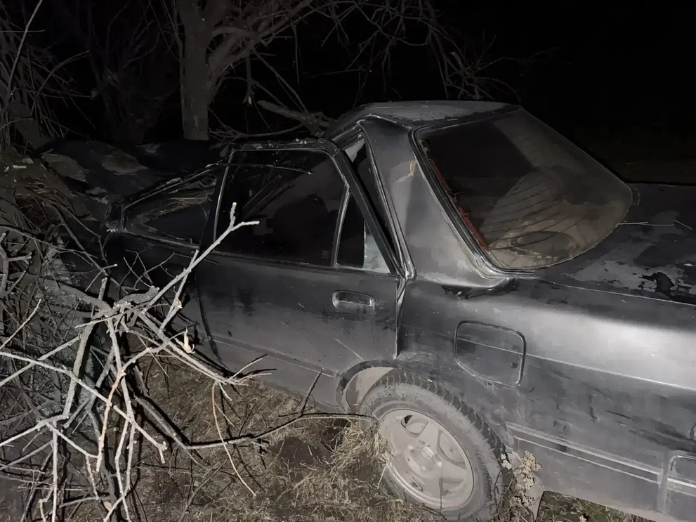 Автомобиль сбил лошадь и вылетел с дороги в Хакасии