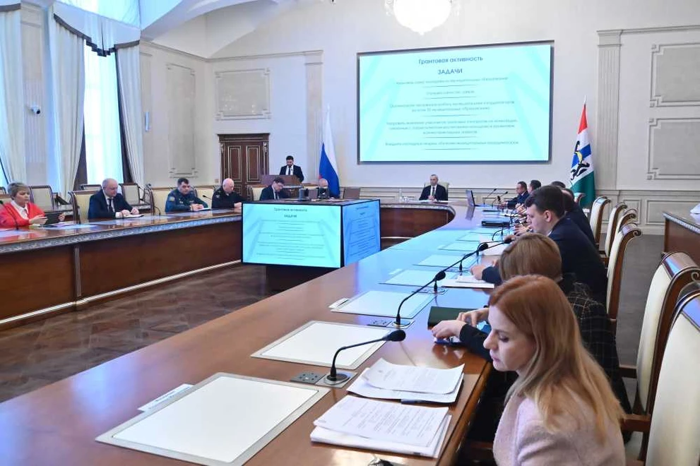 В Новосибирской области расширяют грантовую поддержку молодежных проектов