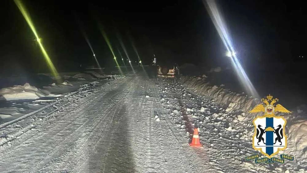 В Новосибирской области в ДТП погибла девочка, проводится проверка