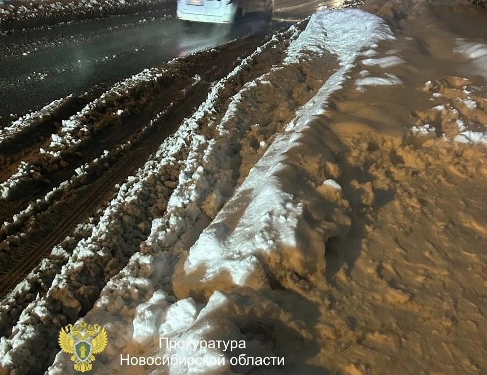 В Новосибирской области растет число погибших и пострадавших в ДТП