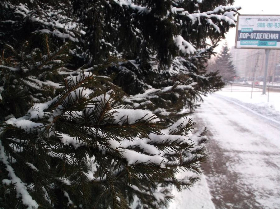 Прогноз погоды в Красноярске на 12 февраля