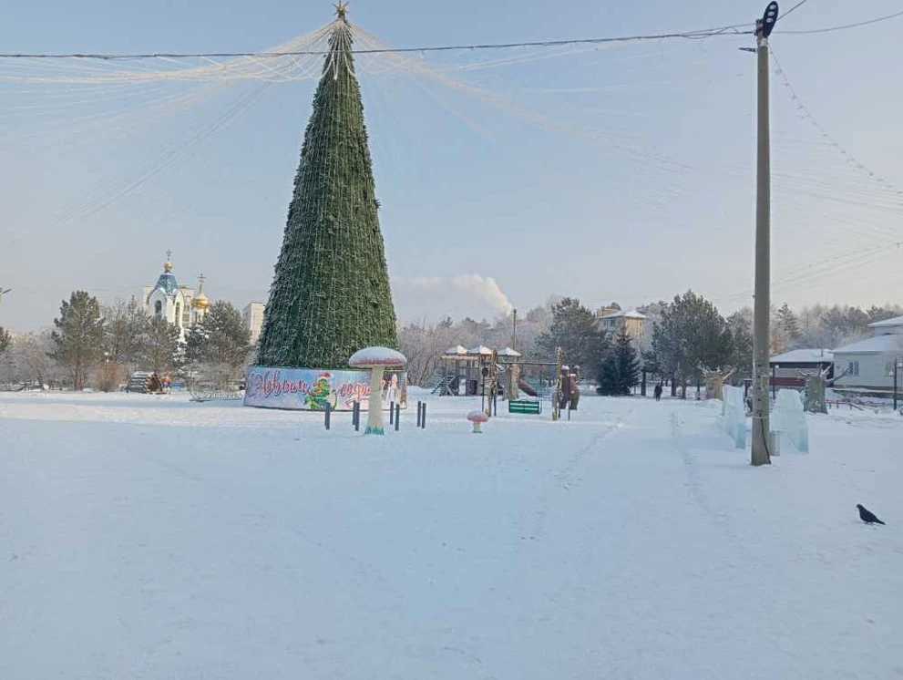 В Кузбассе сравнили новогоднюю ёлку с ёршиком для унитаза