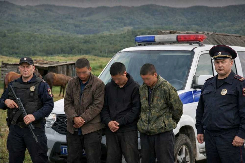 В Туве раскрыли кражу лошадей, совершенную летом