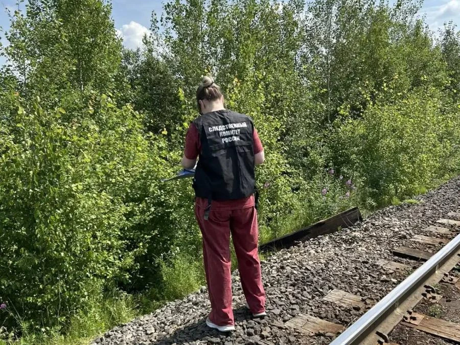 В Красноярском крае обнаружено тело 5-летней девочки, пропавшей в конце июня