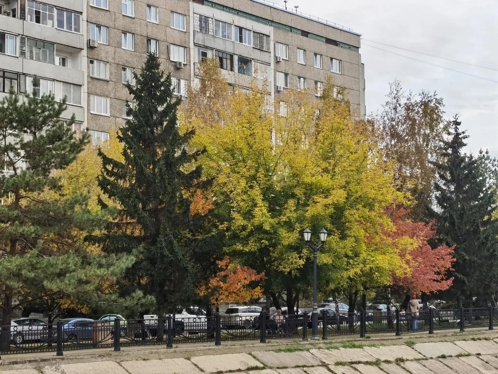 Прогноз погоды в Красноярске на 8 октября