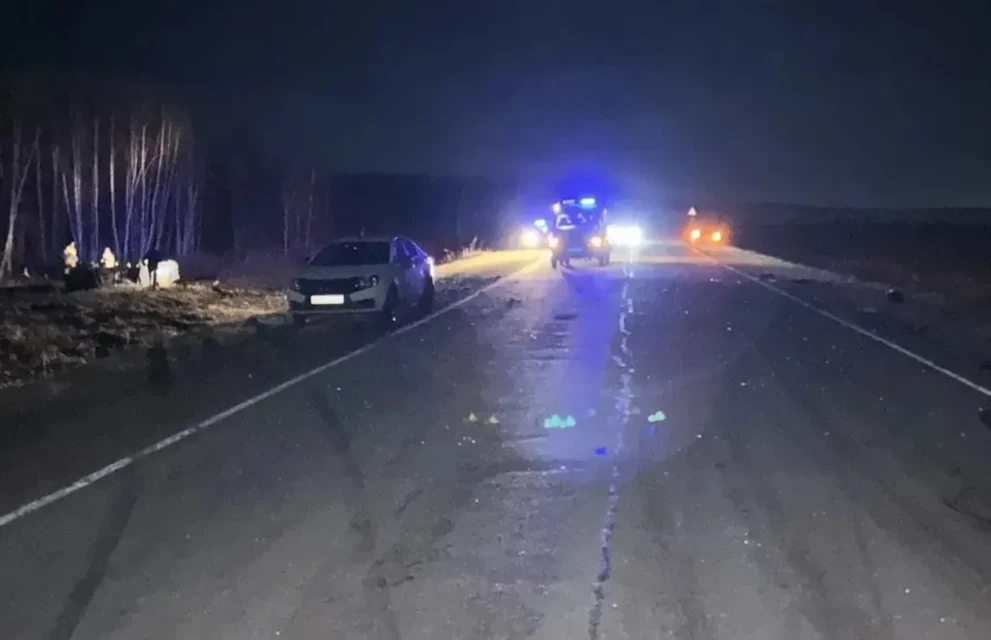 В Красноярском крае в ДТП с лошадью погибли 3 человека