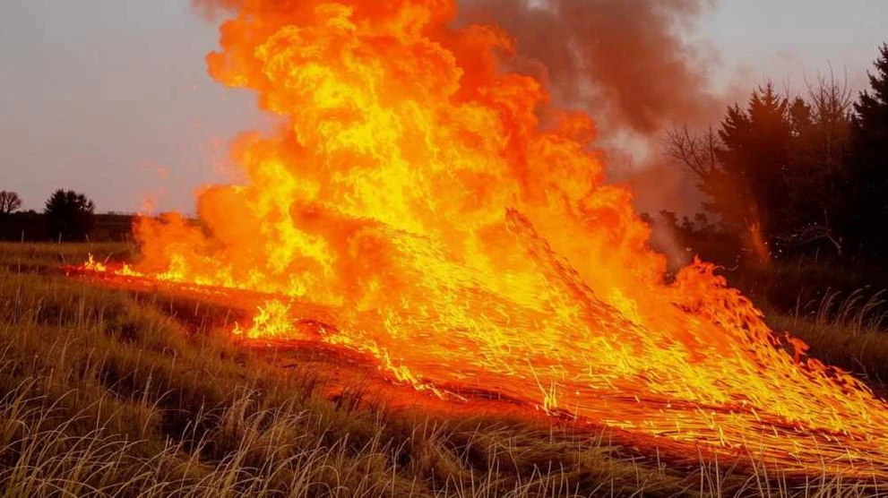 В Новосибирске за неделю произошло 36 пожаров