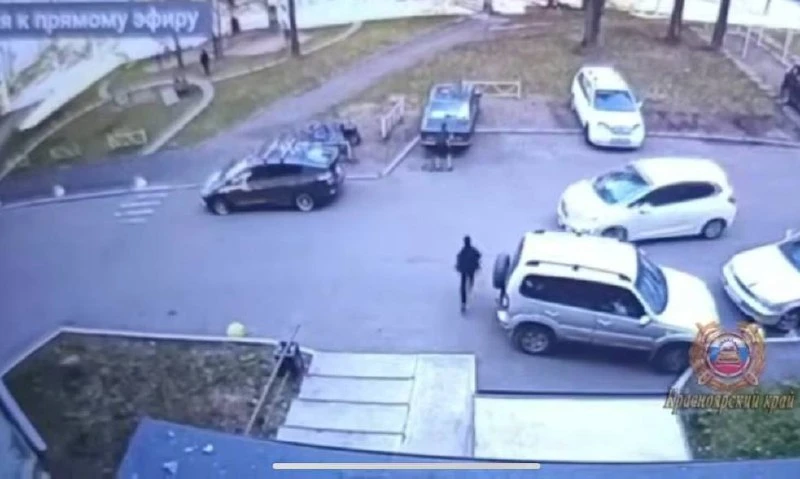 В Красноярском крае ребёнок выбежал под машину