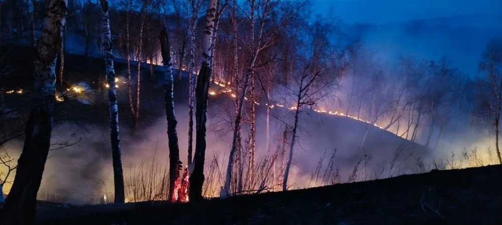 В Красноярском крае в 35 лесничествах объявлен пожароопасный сезон 