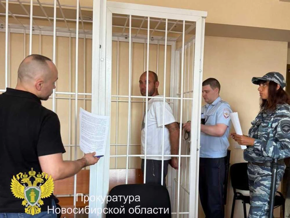 В Новосибирске осудили водителя, сбившего женщину на городском пляже