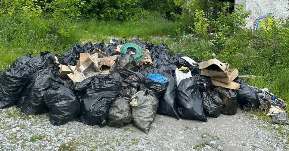 На Алтае прокуратура потребовала убрать свалку возле посёлка