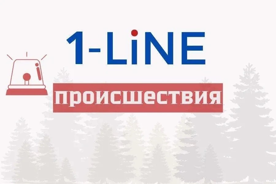 В Томской области рейсовый автобус съехал с дороги, пострадали пассажиры