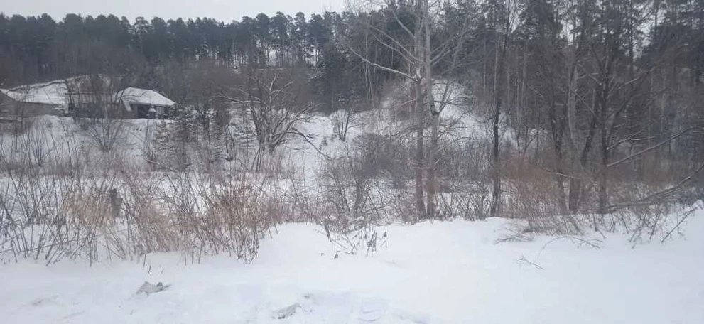 На Алтае завершено расследование по делу о захвате заложника 