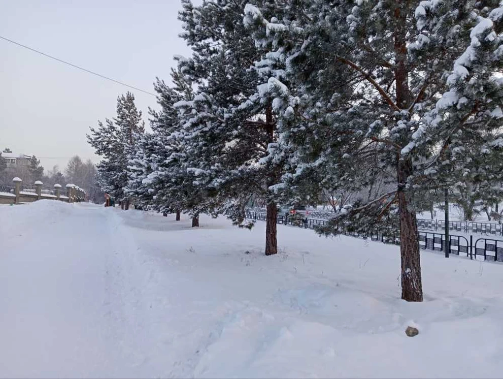 Погода в Красноярске на 25 января