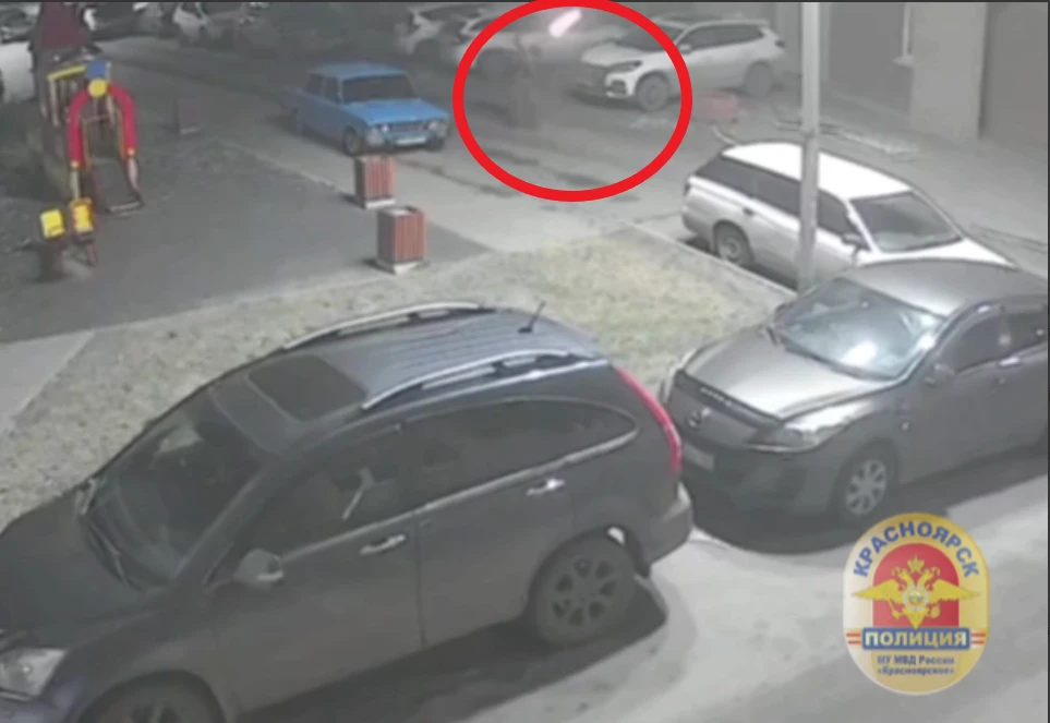 Суд ожидает красноярца, стрелявшего на парковке возле дома