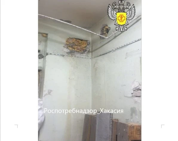 В Хакасии поставщик школьного питания подвергся штрафу за санитарные нарушения