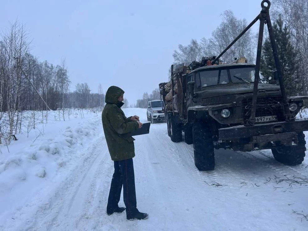 В Новосибирской области группа лиц подозревается в незаконной вырубке лесных насаждений