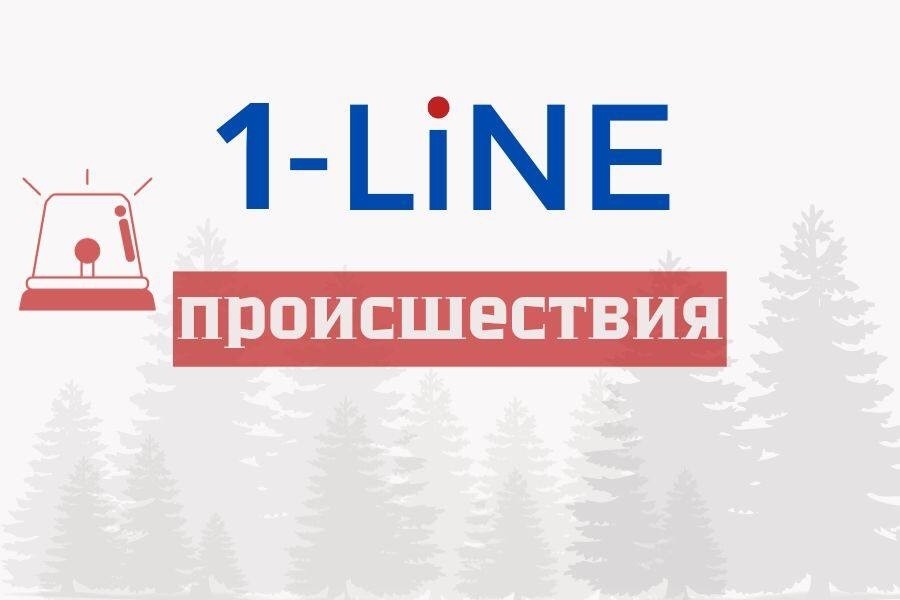 Суррогатный алкоголь убил двоих жителей Тувы