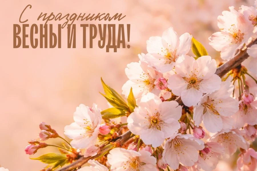 Поздравление Губернатора Красноярского края Михаила Котюкова и председателя Законодательного Собрания края Алексея Додатко