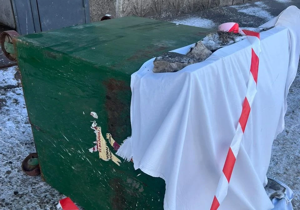 В Красноярске возбуждено уголовное дело после обнаружения тела новорожденного 