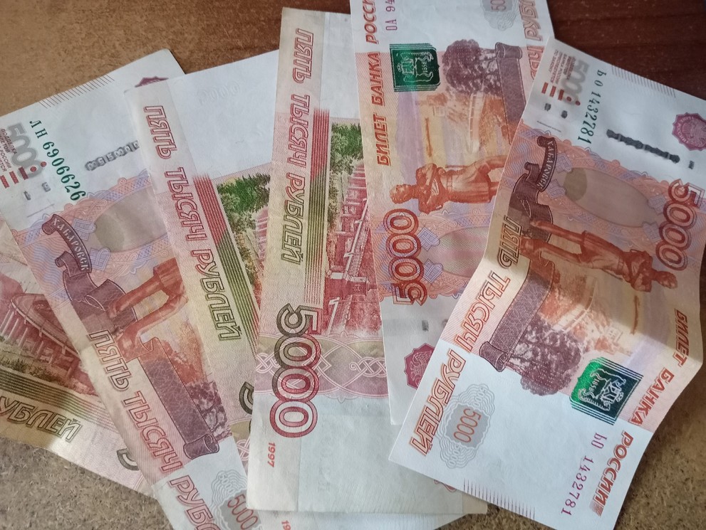 В Республике Алтай мошенники за год похитили у жителей 88 миллионов рублей