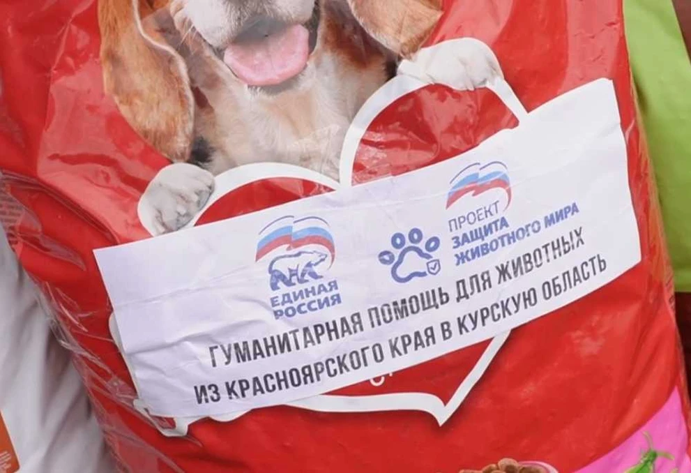 «Единая Россия» отправляет в Курск корма для животных, оставшихся без владельцев