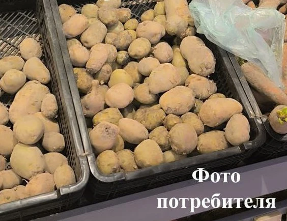 Красноярец пожаловался на магазин, где продавали зелёную картошку