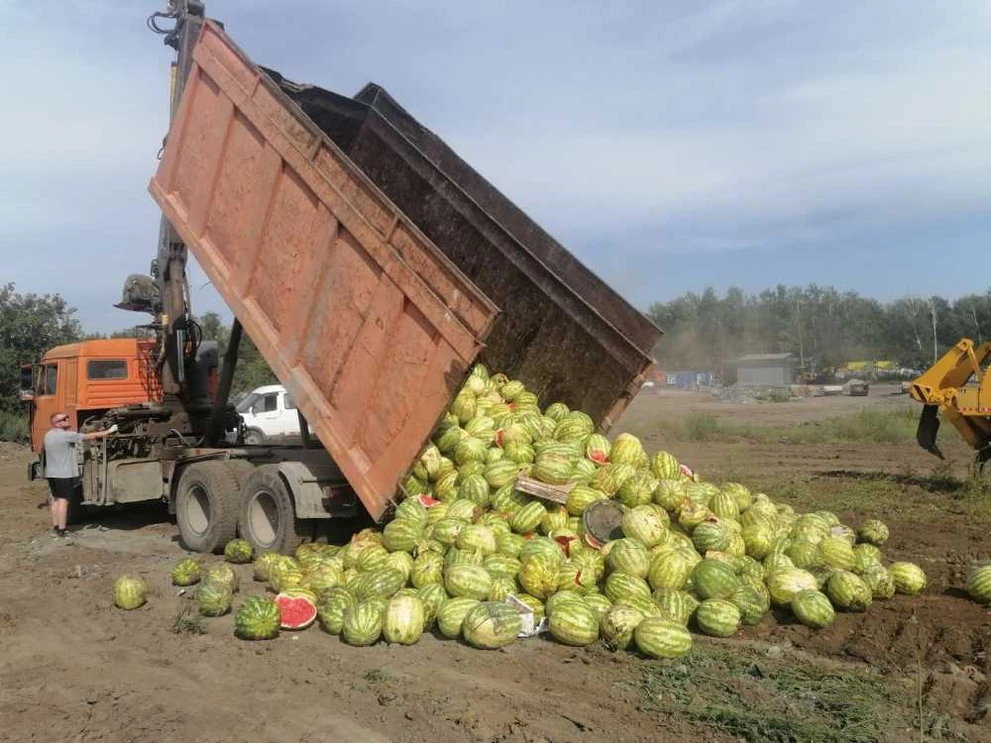 20 тонн опасных арбузов уничтожены в Новосибирске 