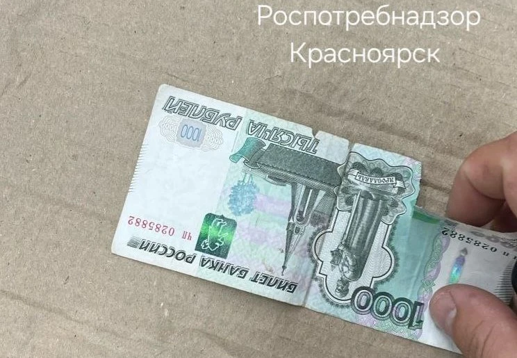 В Красноярском крае к оплате не приняли банкноту с «недостойным» внешним видом 