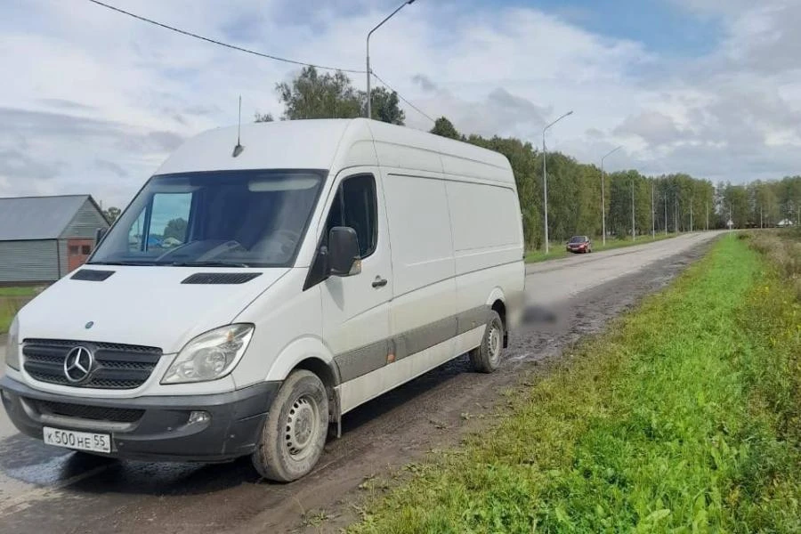 В Омской области под колёсами «Мерседеса» погибла перебегавшая дорогу женщина