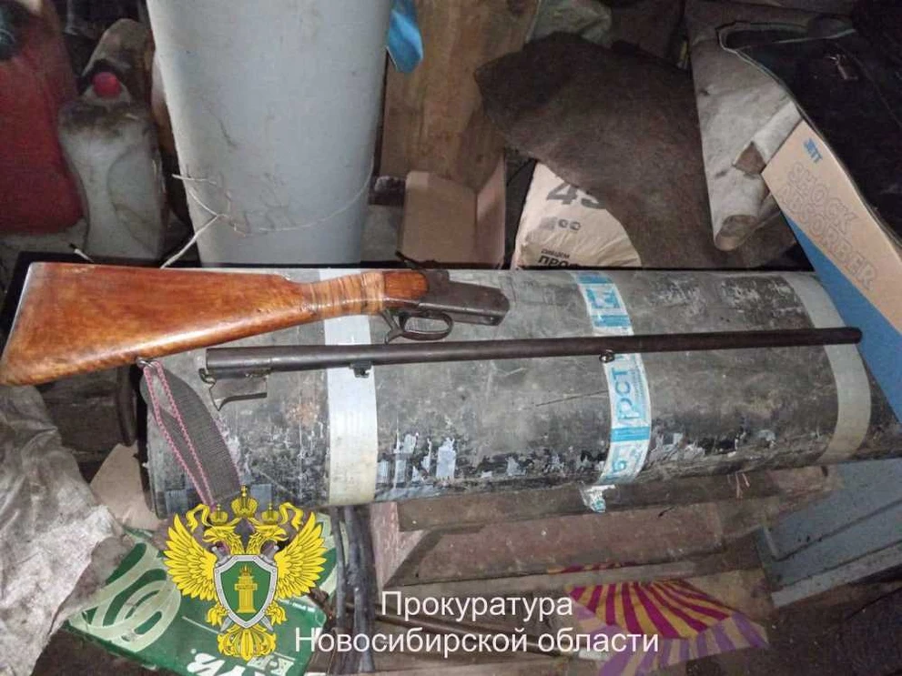 Житель Новосибирской области подарил ружье племяннику и получил условный срок