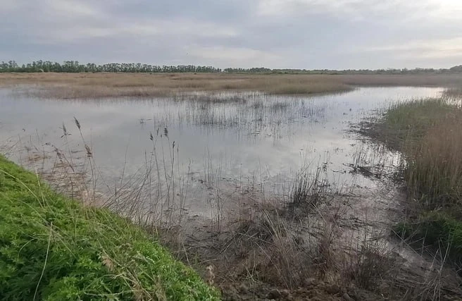 В Омской области по сообщению СМИ проводят проверку загрязнения почвы отходами производства