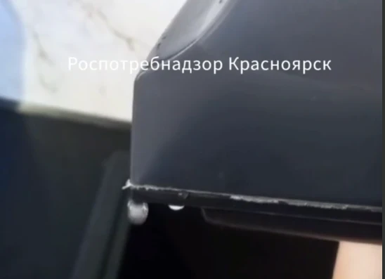 Жительнице Красноярского края вернули деньги за «плачущий» отпариватель