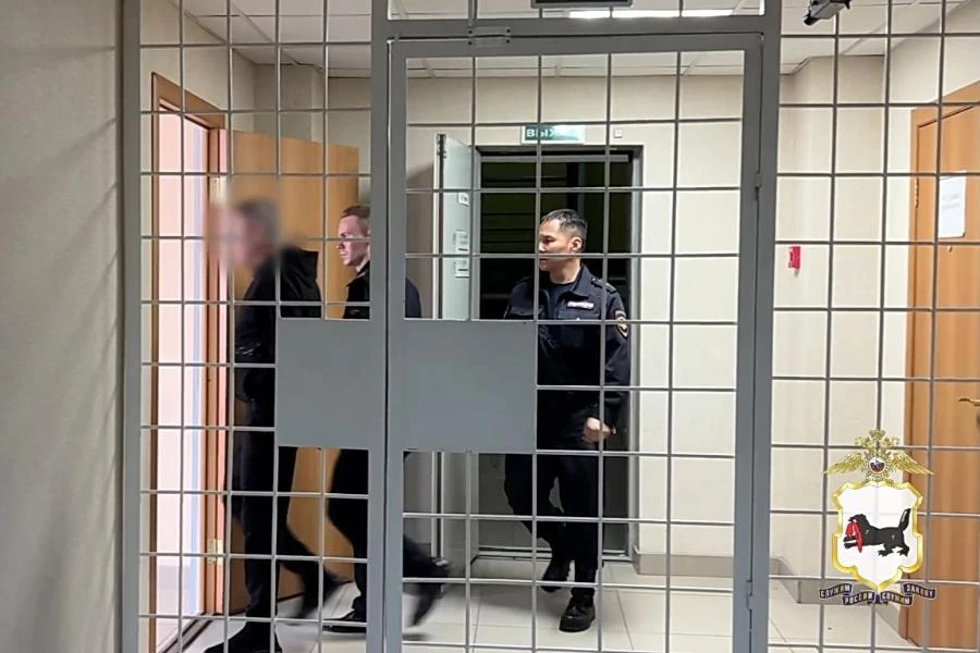 Из США в Иркутск доставлен обвиняемый в смертельном ДТП почти 8-летней давности