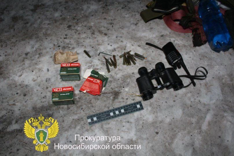 В Новосибирской области осудили двух мужчин за незаконную охоту на косулю
